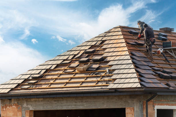 Best Asphalt Shingles Roofing  in Leon Valley, TX